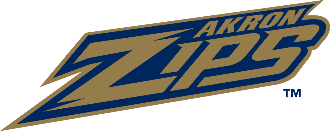 Akron Zips 2002-Pres Wordmark Logo DIY iron on transfer (heat transfer)